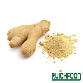 Ginger Extract